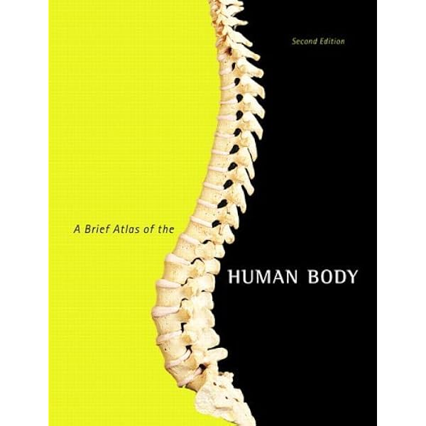 A Brief Atlas of the Human Body: Hutchinson, Matt